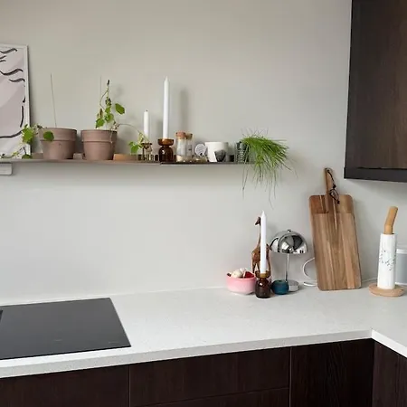 Charming Penthouse In Center * Ålesund